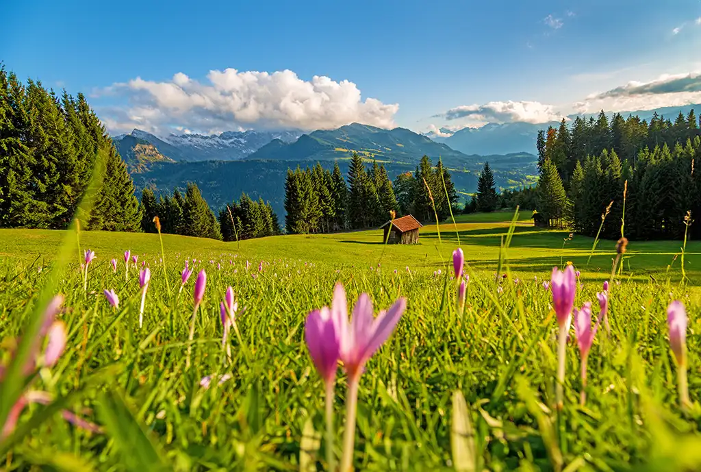 Pfingstreise 2025 Bergtour rund um Abtenau